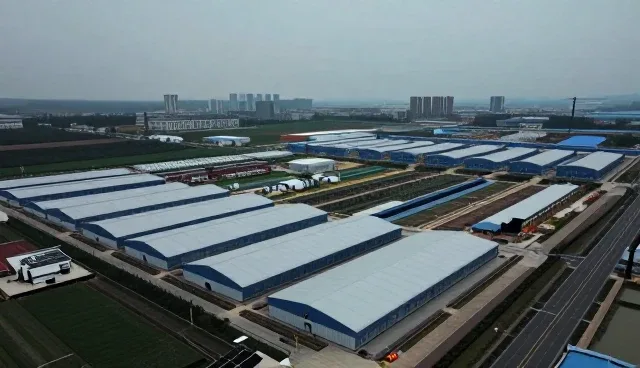 智能化管理如何重塑企业数字化转型路径